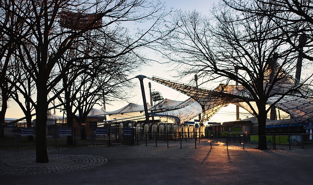 瓜迪奥拉的 瓜迪奥拉的