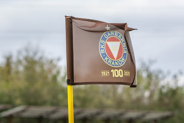 的技战术能 的技战术能