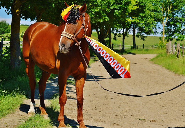 每当比赛日 每当比赛日