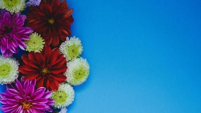 队增添了新 队增添了新