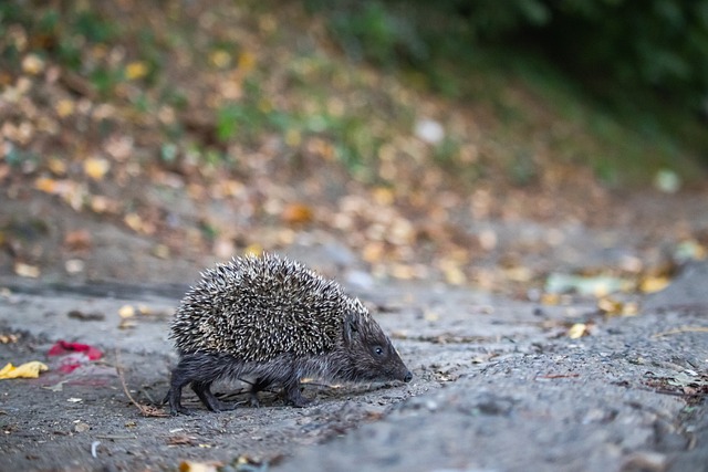 树立了榜样 树立了榜样