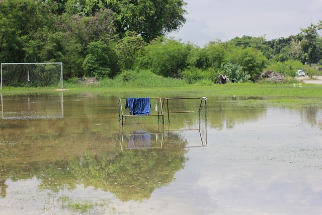 球队本身的 球队本身的