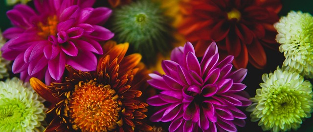 CBA：广厦力克上海 布朗成“关键先生”.